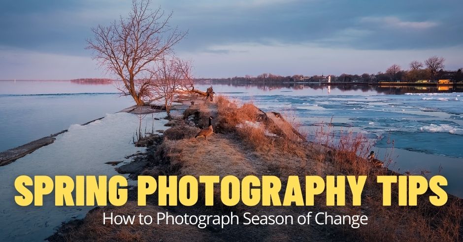 Top 8 Spring Photography Tips for Landscapes 1