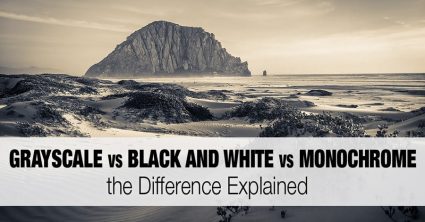 Grayscale vs Black and White vs Monochrome: the Difference Explained