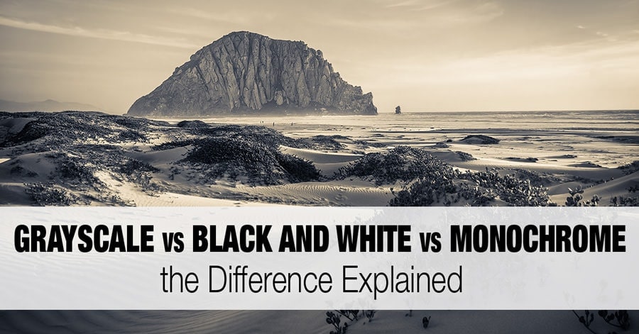 Grayscale vs Black and White vs Monochrome