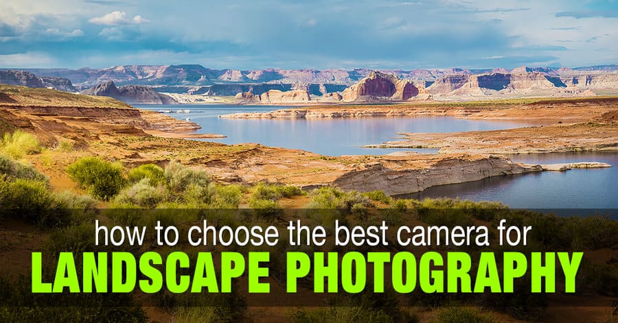 Best Camera for Landscape Photography
