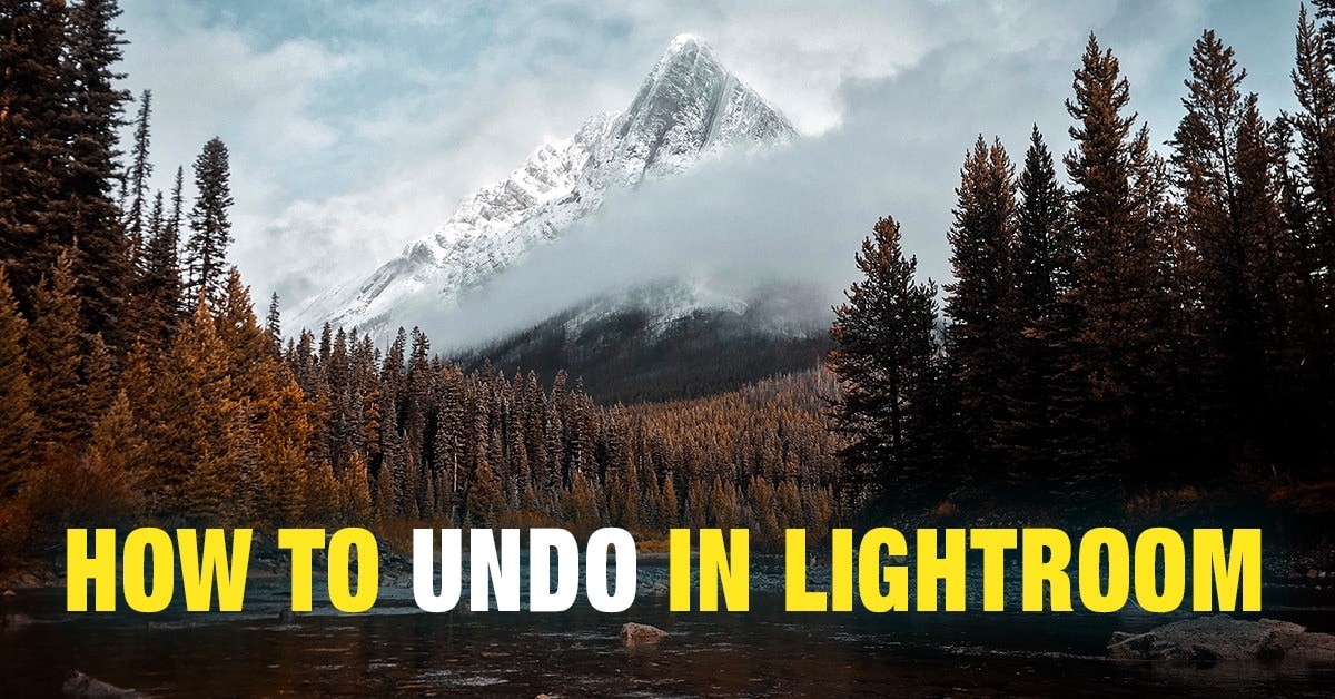 How to Undo in Lightroom (6 Different Ways)