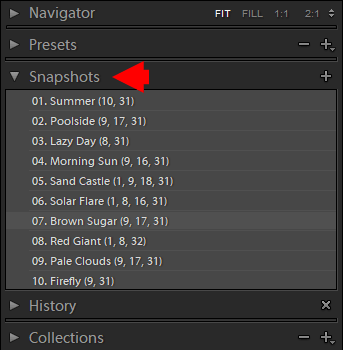 How to Duplicate a Photo in Lightroom: Virtual Copies & Snapshots Methods 2