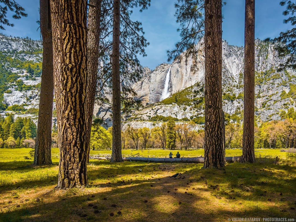 Yosemite National Park. Cooks Meadow.