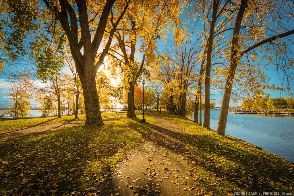 12 Fall Photography Ideas and Tips for Better Foliage Photos 8