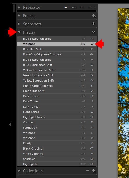 How to Undo in Lightroom (6 Different Ways) 1