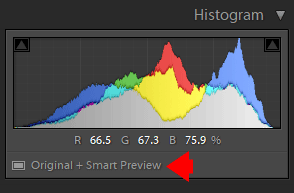 Lightroom Smart Previews - When, Why & How to Use Them 8