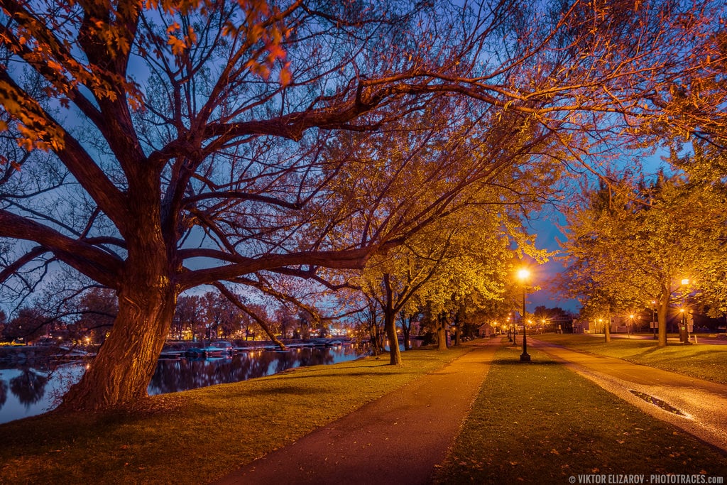 Urban Landscape Photography: Urban Park in Montreal