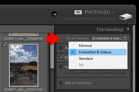 Lightroom File Handling - Embedded & Sidecar