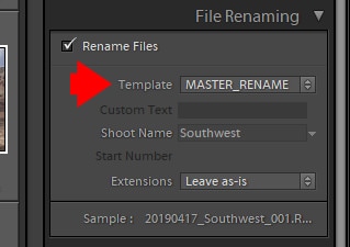 Lightroom Import - File Renaming