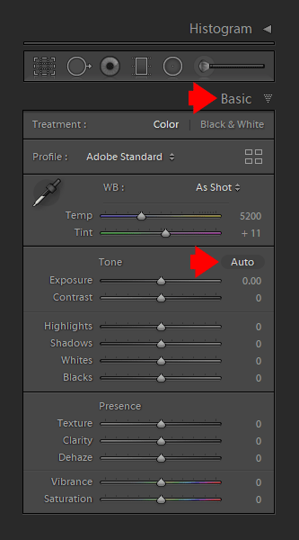  Use AUTO Tone Tool in the Basic Panel