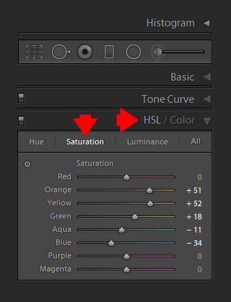 Saturation in Lightroom using HSL (Hue Saturation Luminance) Panel