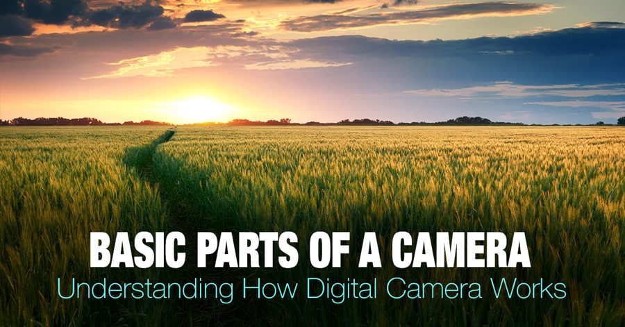 Understanding How Digital Camera Works • PhotoTraces