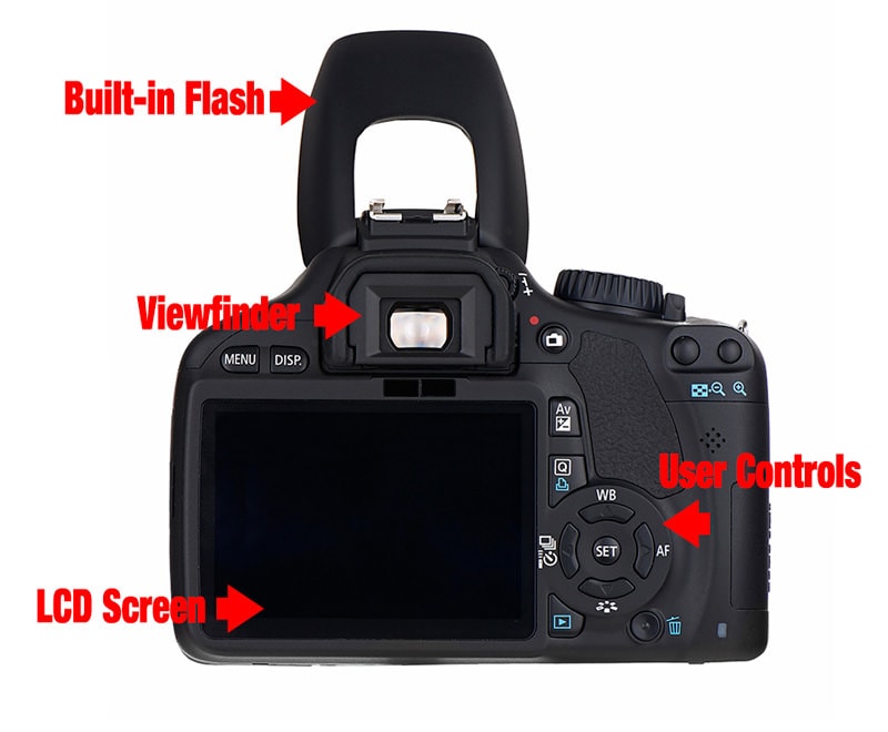 Teile einer Kamera: Sucher, LCD-Bildschirm, Blitz, Benutzersteuerung