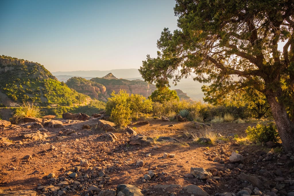 Southwest National Parks Road Trip (Photographer's Perspective) 10