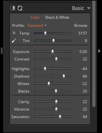 The Basic Panel in Exposure X5