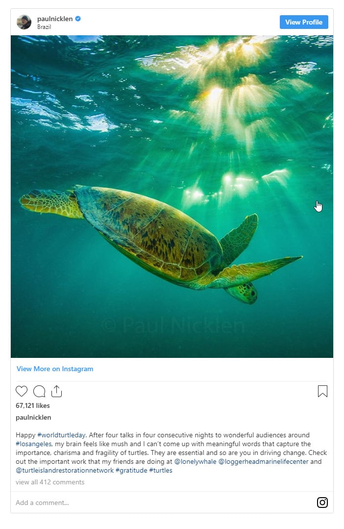 Berühmte Naturfotografen: Paul Nicklen