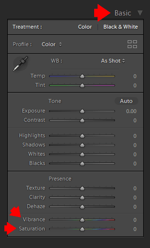 Vibrance vs Saturation: 3 Levels to Control Color Intensity 1