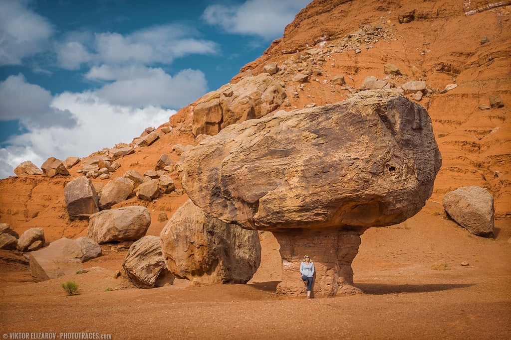 Vermillion Cliffs National Monument - Southwest Trip: Day 2 9