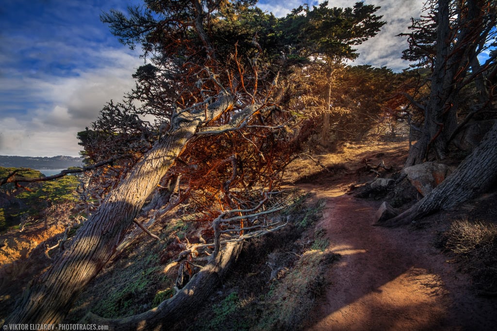 Point Lobos: Places to See and Photograph 10