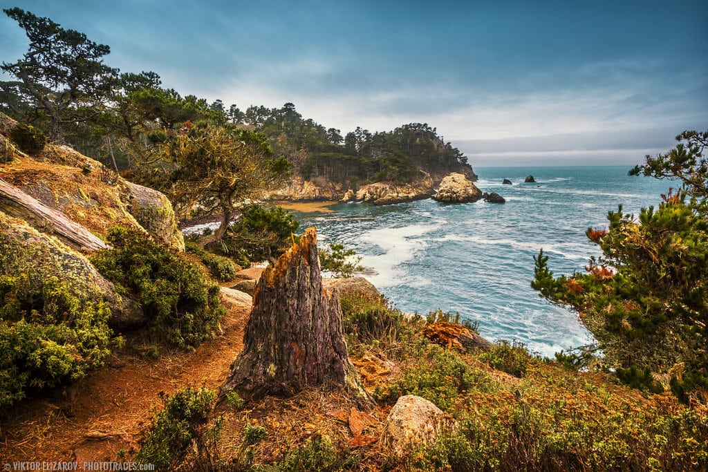 Hiking in Point Lobos: North Shore Trail