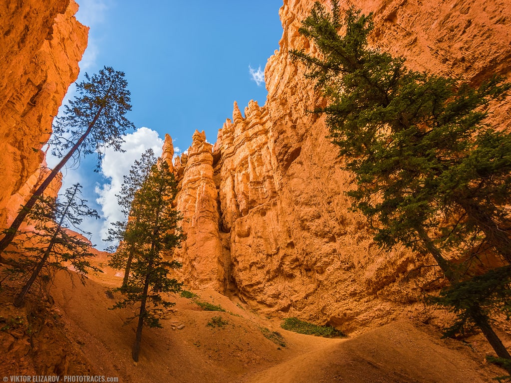 Southwest National Parks Road Trip (Photographer's Perspective) 40