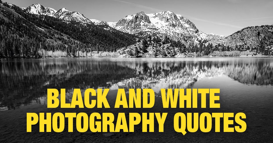 Black and White Photography Quotes (My Top 15 List) • PhotoTraces