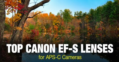 Canon EF vs EF-S Lenses: Compatability and Practical Difference 6