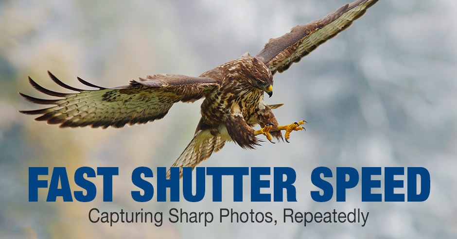 Fast Shutter Speed Explained: Capturing Sharp Photos, Repeatedly