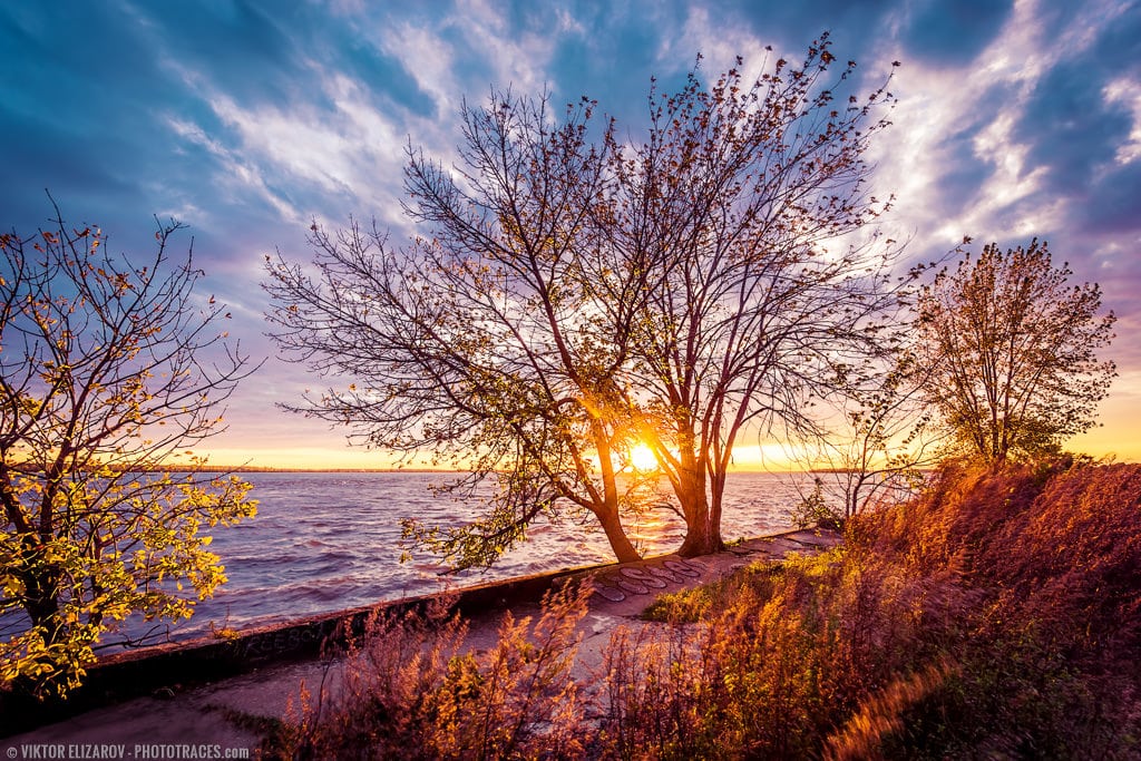 12 Fall Photography Ideas and Tips for Better Foliage Photos 11