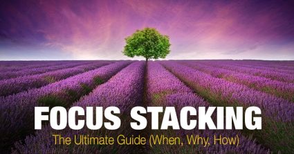 Focus Stacking: the Ultimate Guide (When, Why, How)
