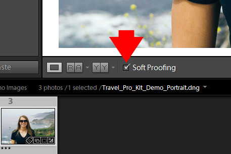 Lightroom Soft Proofing - Step-By-Step Workflow 1