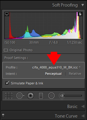 Lightroom Soft Proofing - Step-By-Step Workflow 4