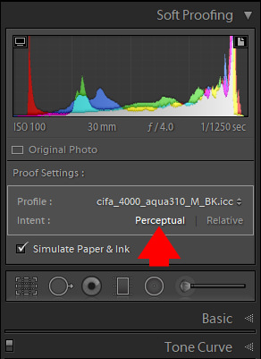 Lightroom Soft Proofing - Step-By-Step Workflow 5