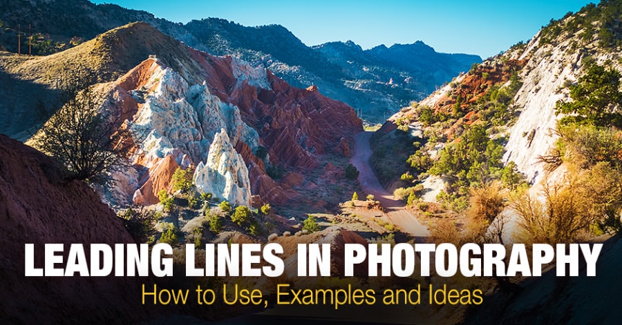 Leading Lines in Photography