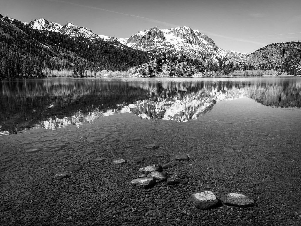 Grayscale vs Black and White vs Monochrome: the Difference Explained 2