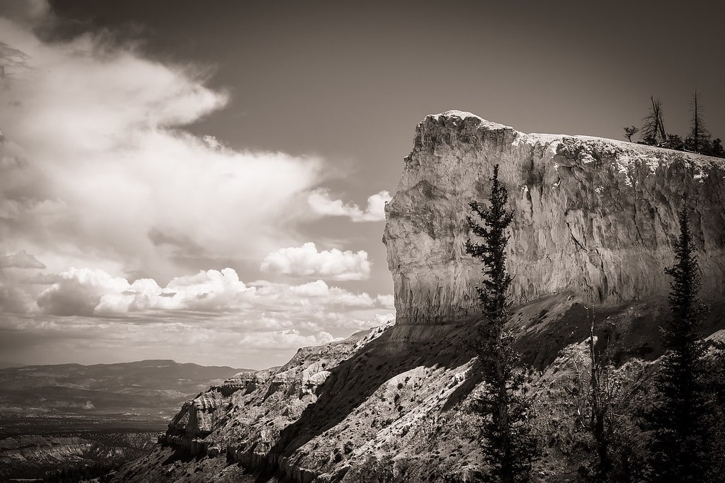 Grayscale vs Black and White vs Monochrome: Sepia Photo