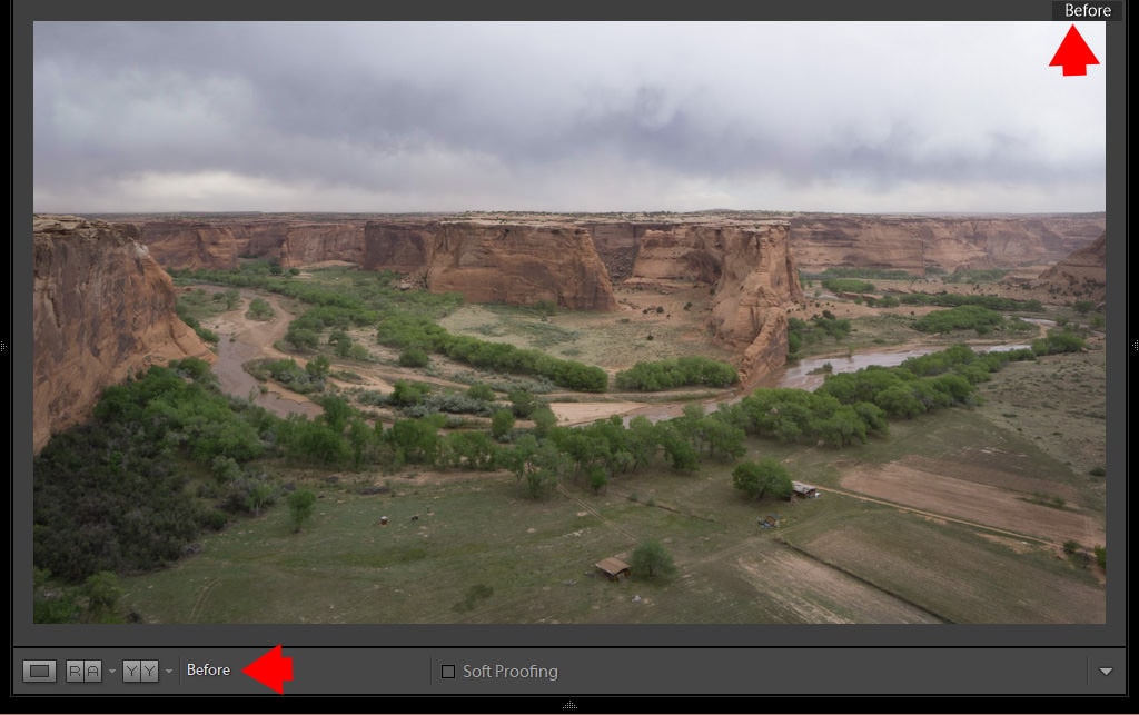 Lightroom Before and After: 7 Ways to Visualize Your Edits 4