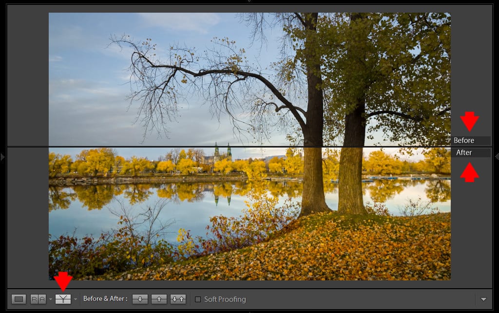 Lightroom Before and After Top/Bottom