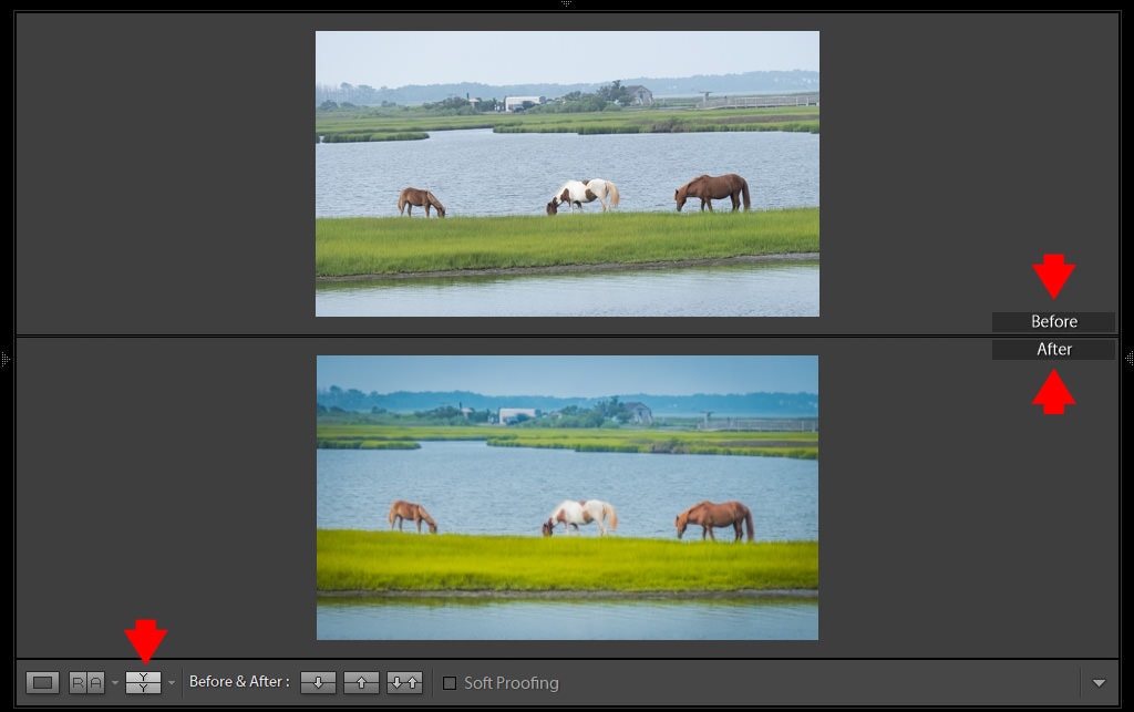 Lightroom Before and After: 7 Ways to Visualize Your Edits 7