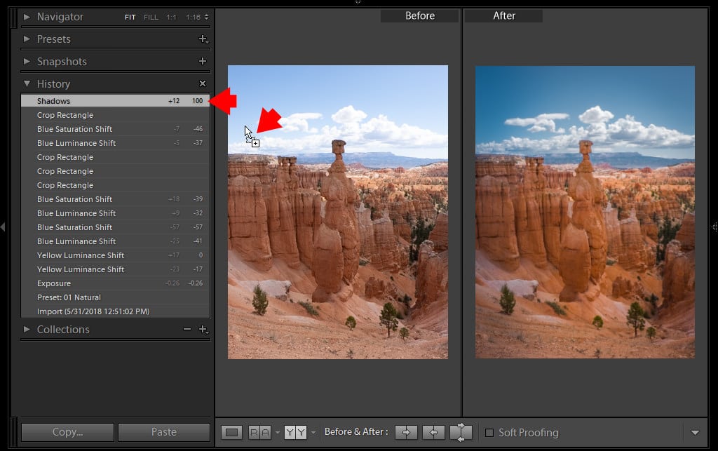 Lightroom Before and After: 7 Ways to Visualize Your Edits 9