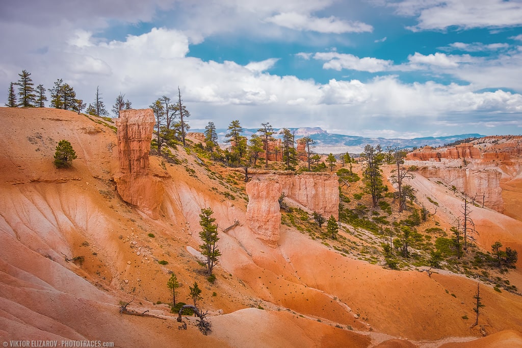 Southwest National Parks Road Trip (Photographer's Perspective) 38