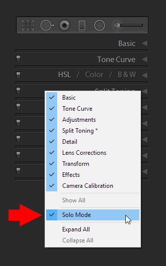 Lightroom Keyboard Shortcuts - Solo Mode