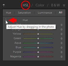 Lightroom Skin Tone Fix in 10 Second or Less 1