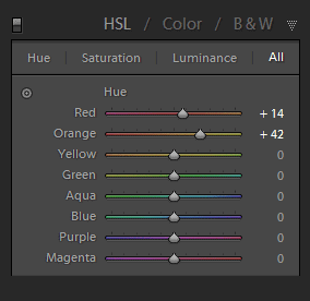 Lightroom Skin Tone Fix in 10 Second or Less 4