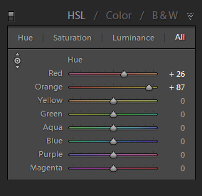 10 Second Lightroom Skin Tone Fix 3