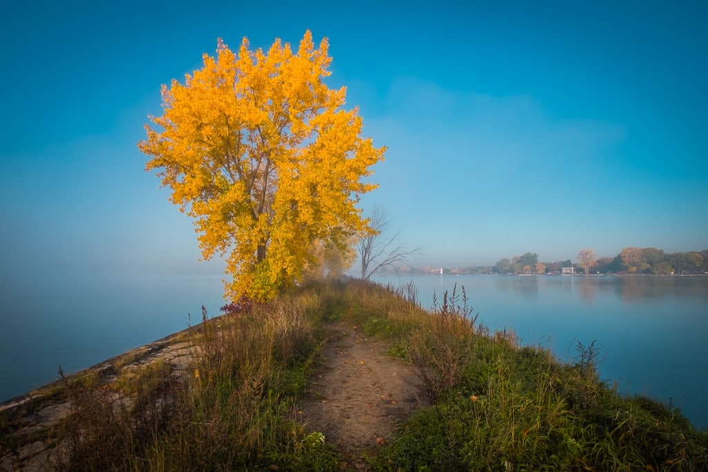 Autumn Foggy River (Montreal) 5