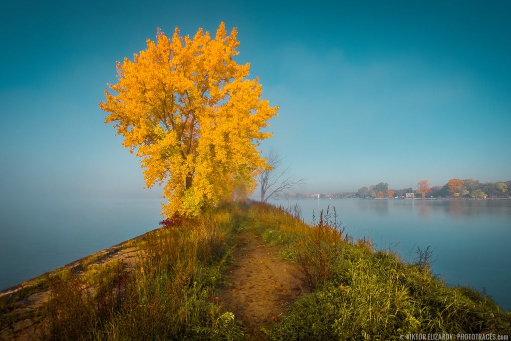 Autumn Foggy River (Montreal) 1