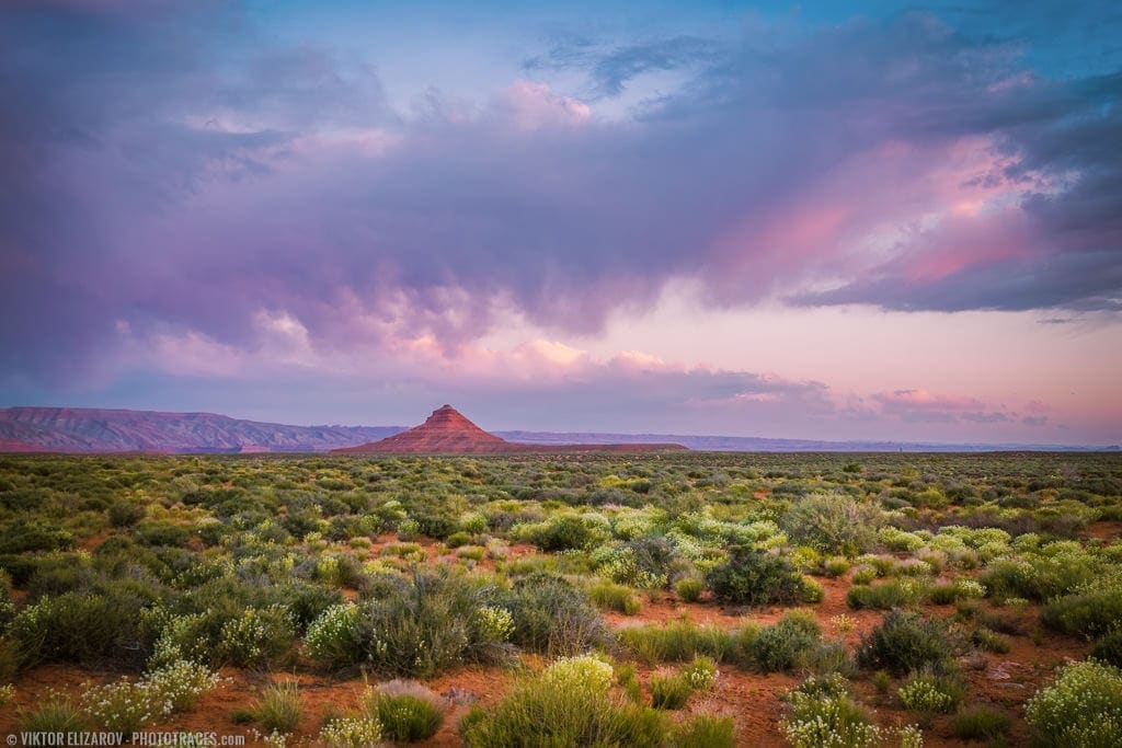 Sunset in the Desert (Utah) 1