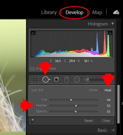 How to Smooth Skin in Lightroom (Fix Blemishes, Pimples & Wrinkles) 8