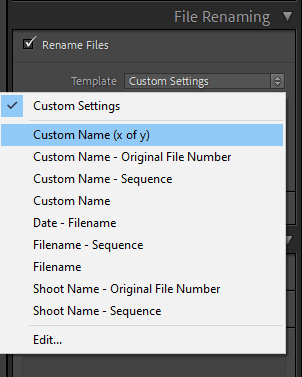 How to Rename Files in Lightroom for Better Image Discovery & Organization 2